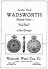 Wadsworth 1917 20.jpg